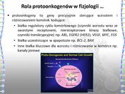 następna strona →