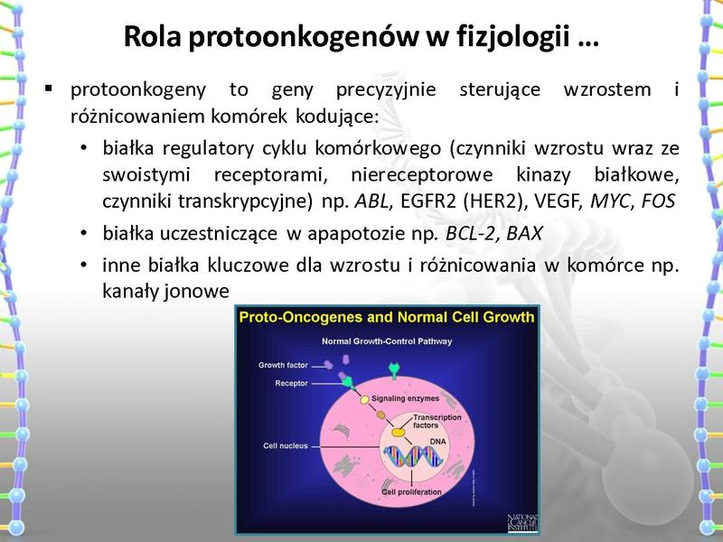 Plik:Rola mutacji w procesie nowotworzenia oraz w leczeniu nowotworów.pdf