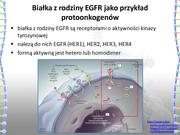następna strona →
