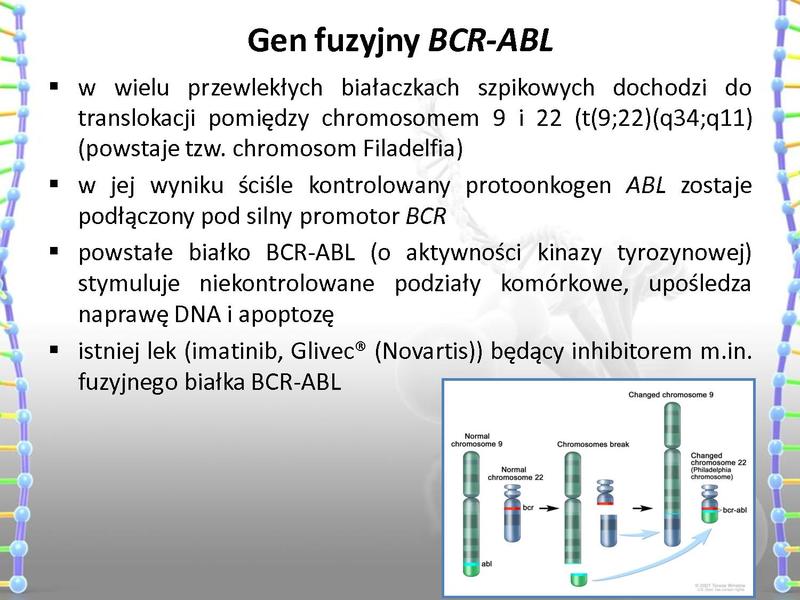 Plik:Rola mutacji w procesie nowotworzenia oraz w leczeniu nowotworów.pdf