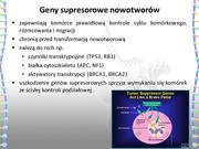 następna strona →