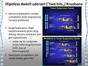 następna strona →