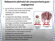 następna strona →