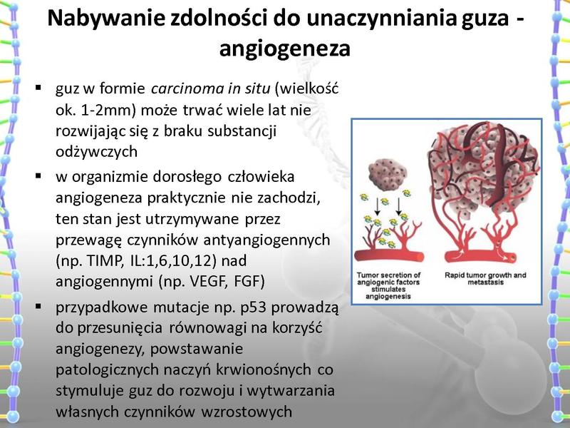 Plik:Rola mutacji w procesie nowotworzenia oraz w leczeniu nowotworów.pdf