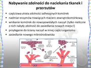 następna strona →