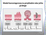 następna strona →