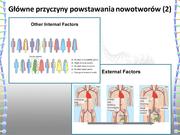 następna strona →