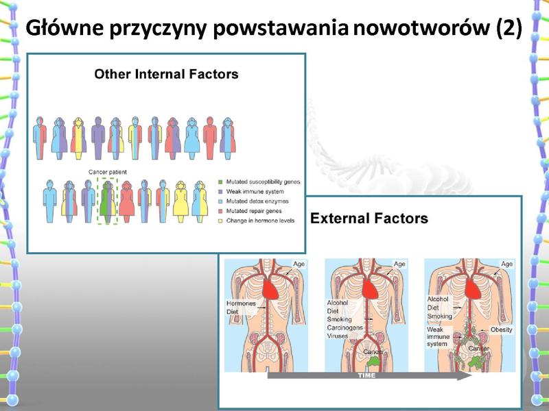 Plik:Rola mutacji w procesie nowotworzenia oraz w leczeniu nowotworów.pdf
