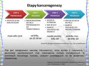 następna strona →