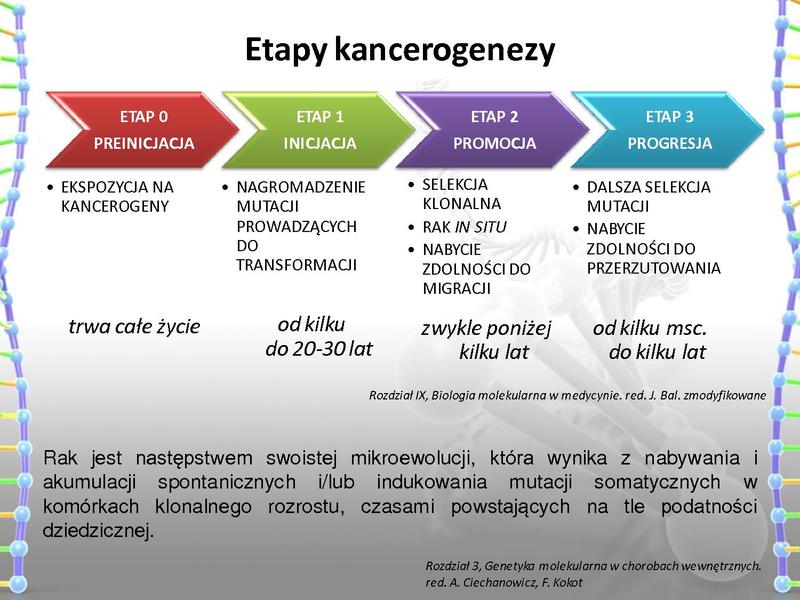 Plik:Rola mutacji w procesie nowotworzenia oraz w leczeniu nowotworów.pdf