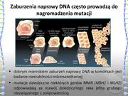 następna strona →