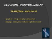 następna strona →