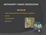 następna strona →