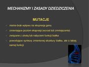 następna strona →