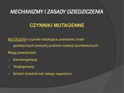 następna strona →