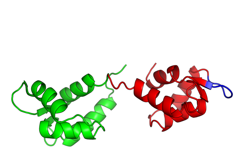 Plik:Clustering1.png