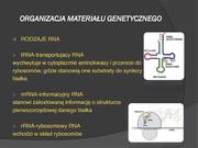 następna strona →