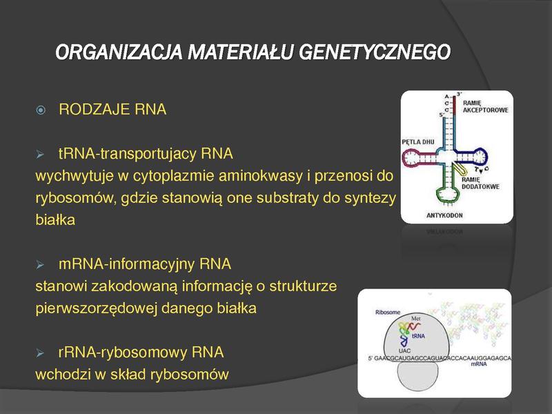 Plik:WPROWADZENIE DO MEDYCYNY MOLEKULARNEJ 1.pdf