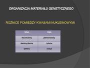 następna strona →
