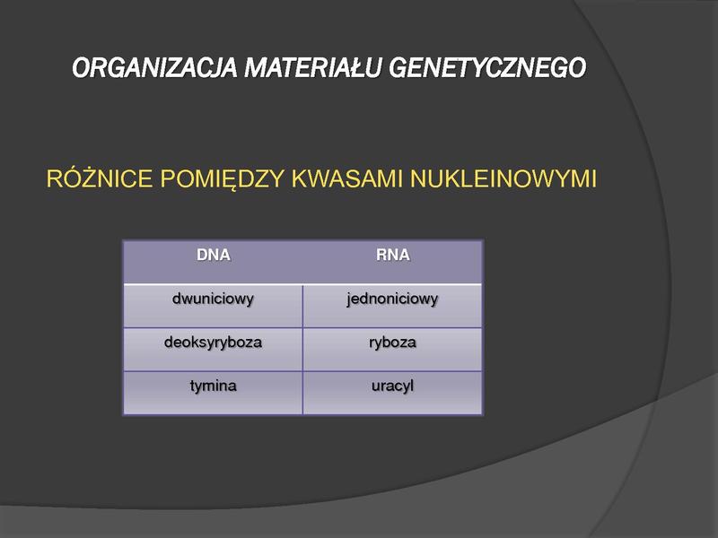 Plik:WPROWADZENIE DO MEDYCYNY MOLEKULARNEJ 1.pdf