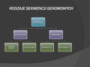 następna strona →