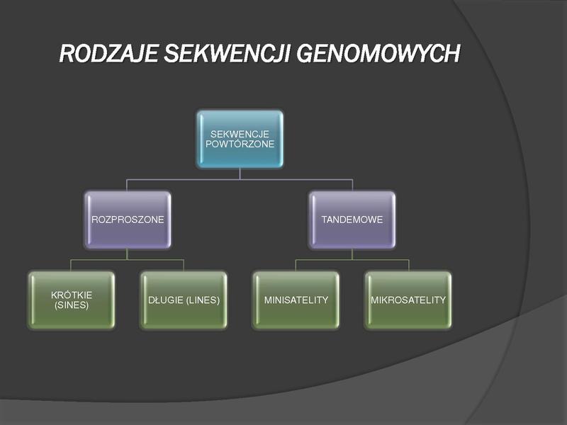 Plik:WPROWADZENIE DO MEDYCYNY MOLEKULARNEJ 1.pdf