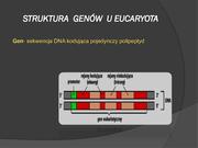 następna strona →