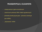 następna strona →