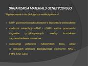 następna strona →