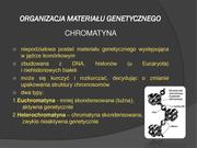 następna strona →