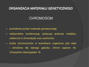następna strona →